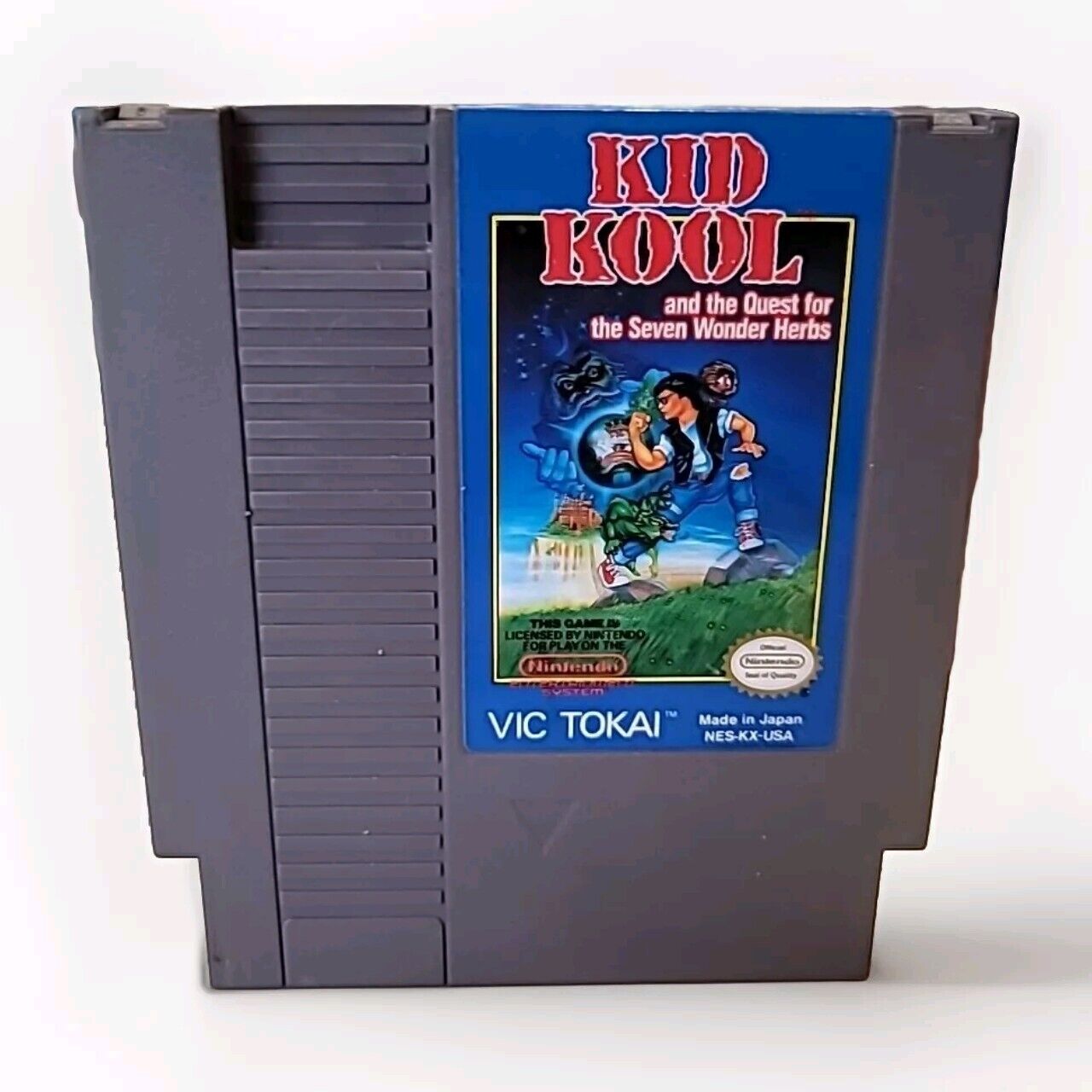 Kid Kool and the Quest for the Seven Wonder Herbs Nintendo NES Game, Tested