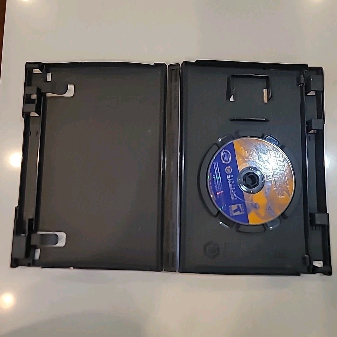 StarFox Adventures Nintendo GameCube 2002 No Manual