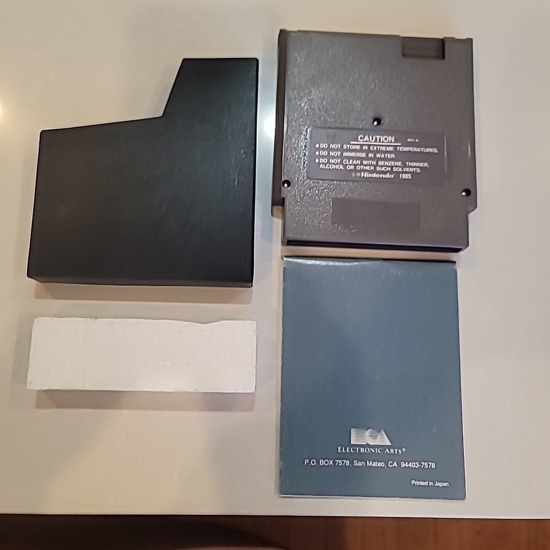 The Immortal - Nintendo NES - Complete In Box CIB 