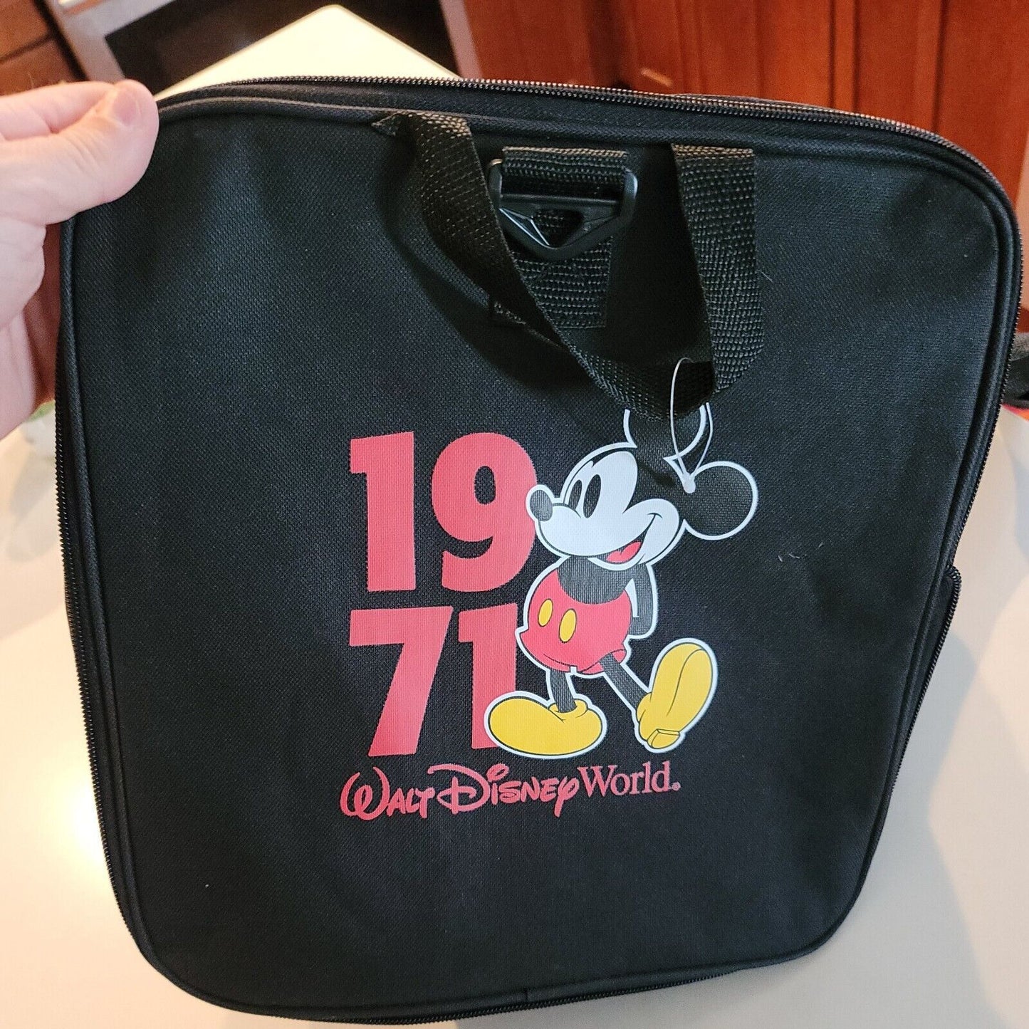 Disney Parks Large Duffel Bag 1971 Walt Disney World Great Shape