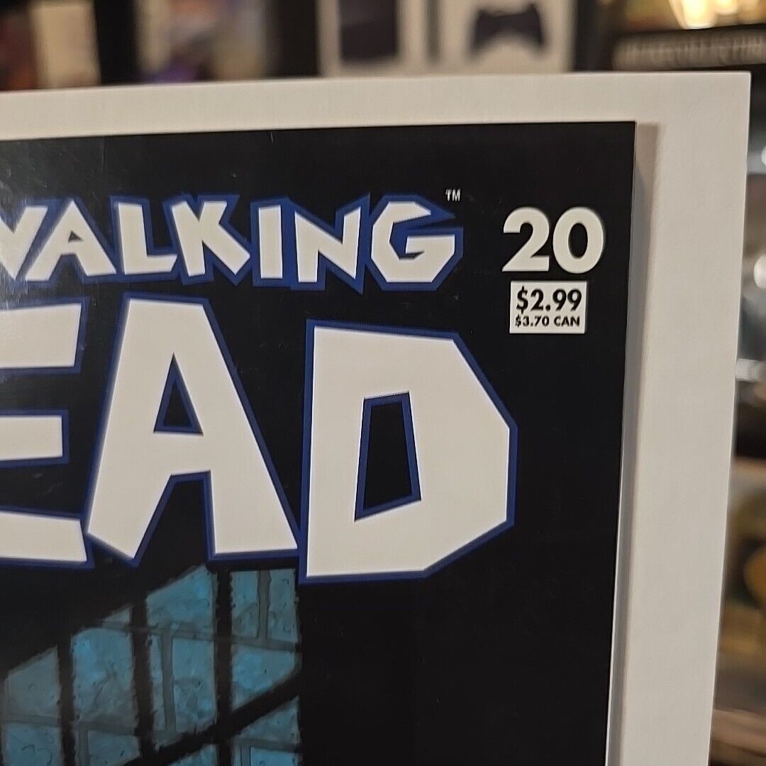 The Walking Dead 20 2005 2nd Michonne! Image Comics F