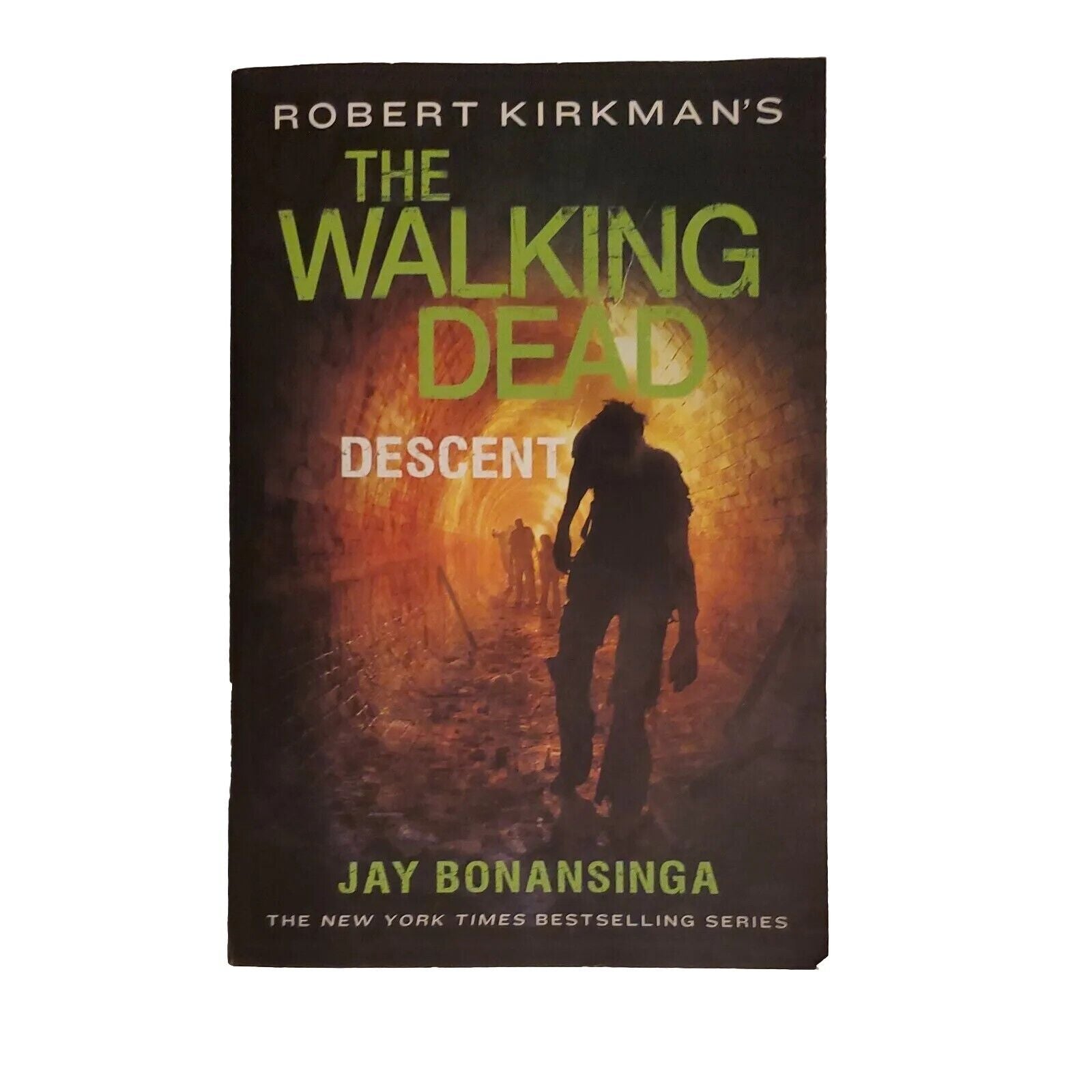 Robert Kirkman s The Walking Dead  Descent  The Walking Dead 1st First Print BB1