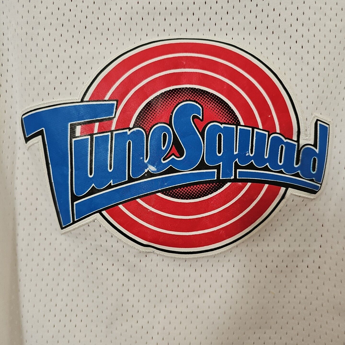 Vintage Michael Jordan Tune Squad Space Jam Jersey Mens M Authentic Champion